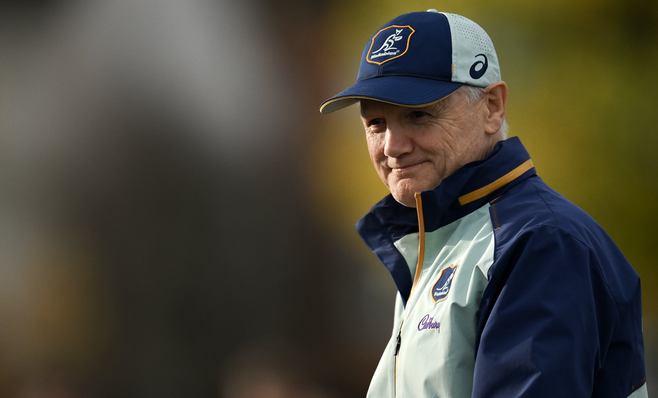 Joe Schmidt Wallabies