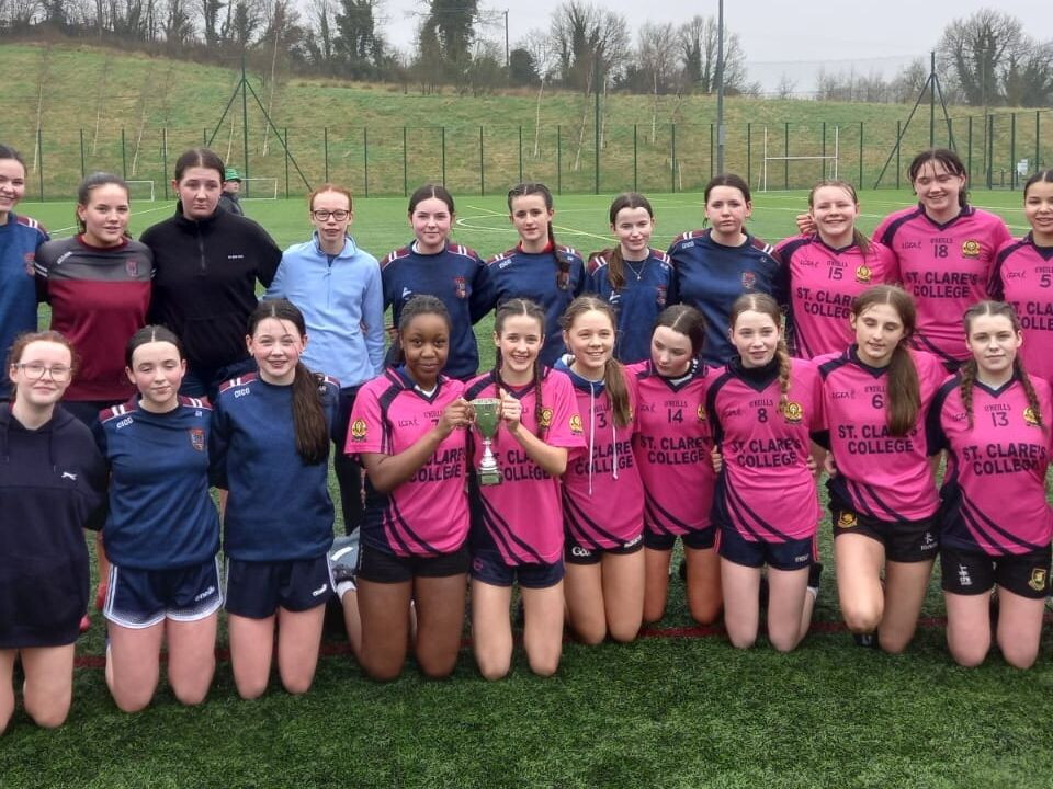 Through our Ulster Carpets Community Outreach Programme, our Virginia CCRO Jon Watt, hosted the 10th annual Virginia RFC rugby blitz at Peacelink Park in Clones.
